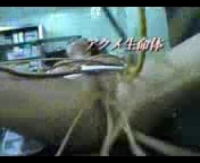 Супер горячее частное порно реальный секс в прямом эфире