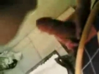 Горячие мусульманки с Кавказа трахаются в невероятных позах