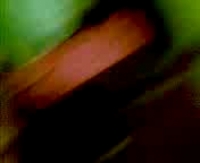 Жесткий узбекский секс с дикой красоткой бесплатно